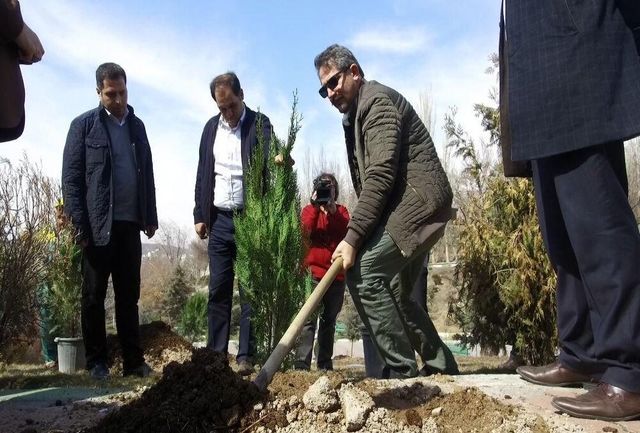 تبریز و ماجرای پرابهامِ یک میلیون اصله درخت!