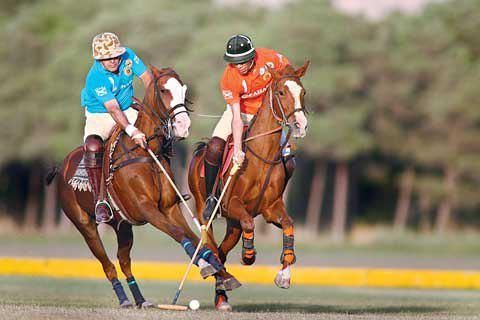 حضور نماینده آذربایجان‌شرقی در مسابقات چوگان قهرمانی کشور