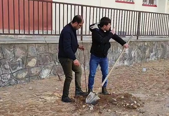 کاشت 1000 اصله درخت در فاز 4 شهر سهند