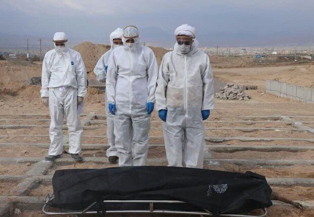 تفاوت فاحش و عجیب آمار وادی رحمت و علوم پزشکی!