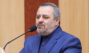 افراد مشهور به رانت التزام عملی به اسلام ندارند/ فشار لابی‌گران به هیئت نظارت