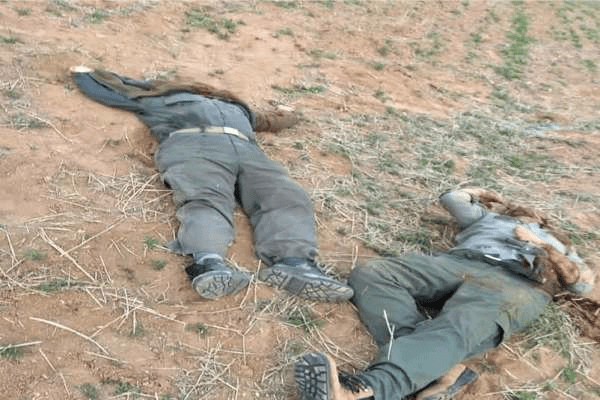 2 محیط بان زنجانی روز گذشته به شهادت رسیدند