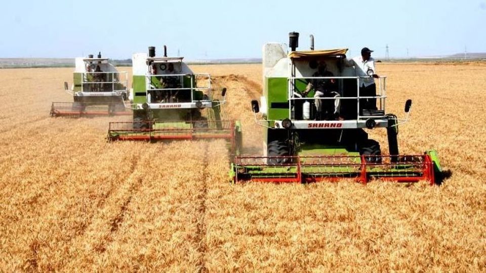 تبدیل 35 درصد محصولات کشاورزی به ضایعات/ جغرافیای ایران، بهشت کشاورزی