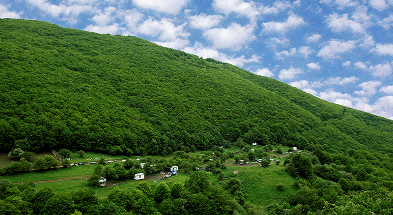 خرداد ماه به جنگل‌های ارسباران نروید/ هشدار به گردشگران و دامداران