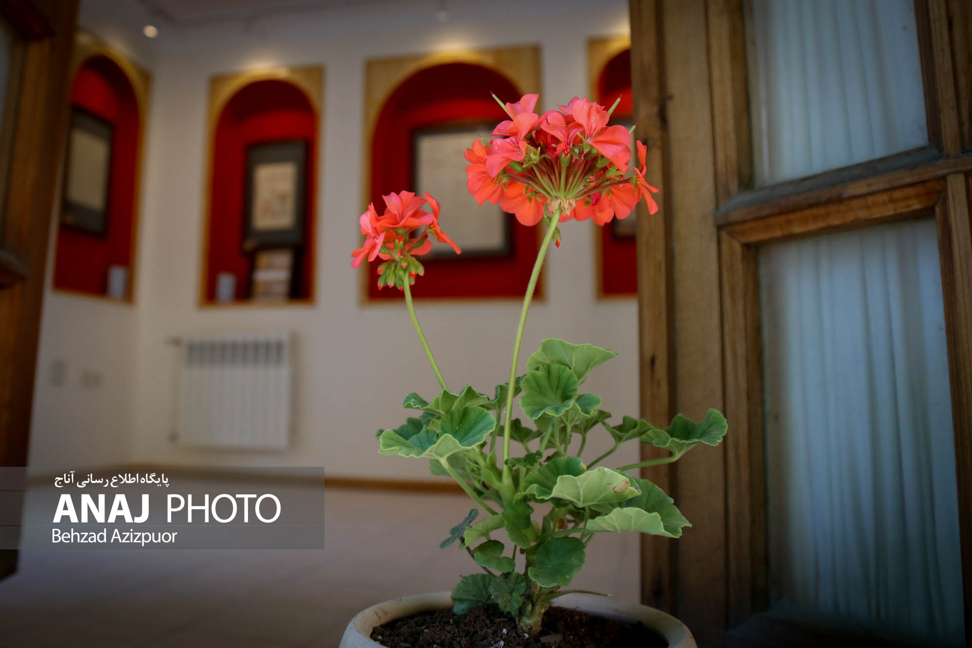 افتتاح موزه مطبوعات آذربایجان