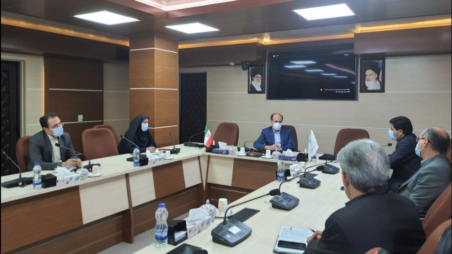 صادرات دام زنده فاجعه است/ ضرورت تحول در الگوی تولید و تامین علوفه دام