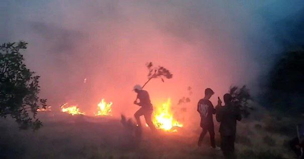 آتش در جانِ جنگل‌های ارسباران