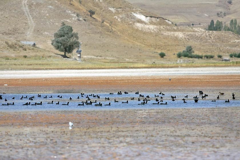 کاهش 52 سانتی تراز آبی تالاب قوری گول/ حال تالاب خوب نیست