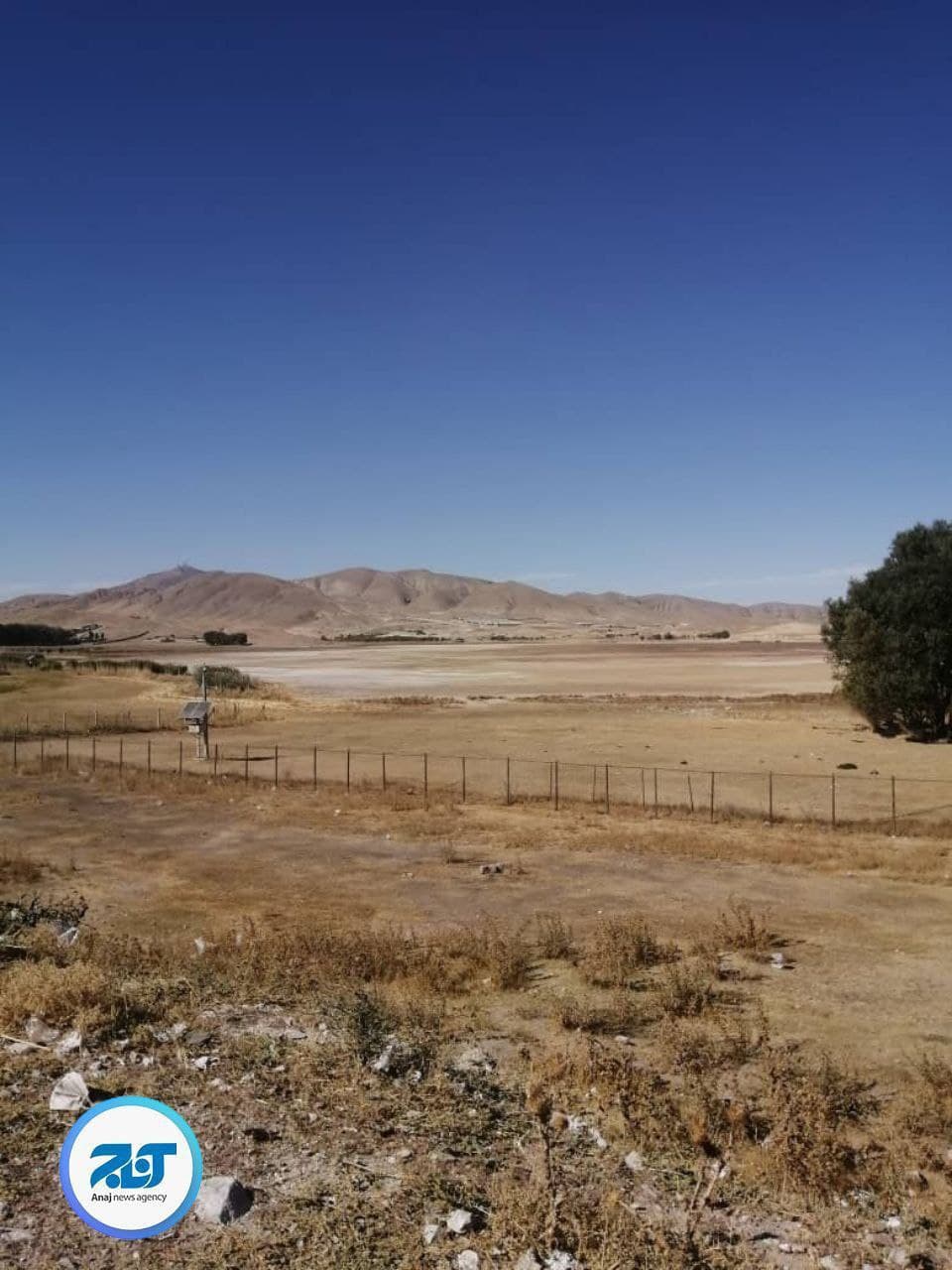 قوری‌گل خشکید! + تصاویر