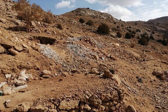 جذب غیر بومی ها در معدن قاضی کندی هشترود