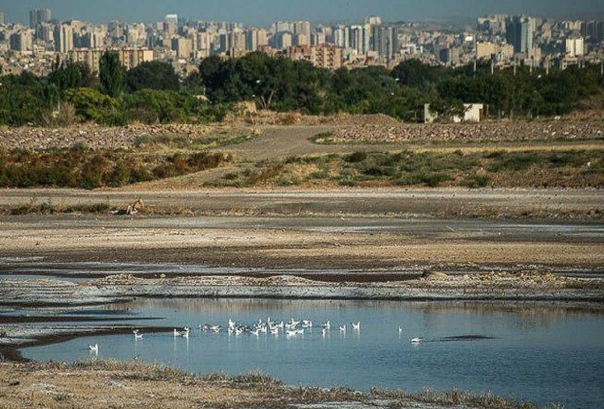 هشدار شهردار به ساخت و ساز غیر مجاز در محدوده پارک بزرگ تبریز