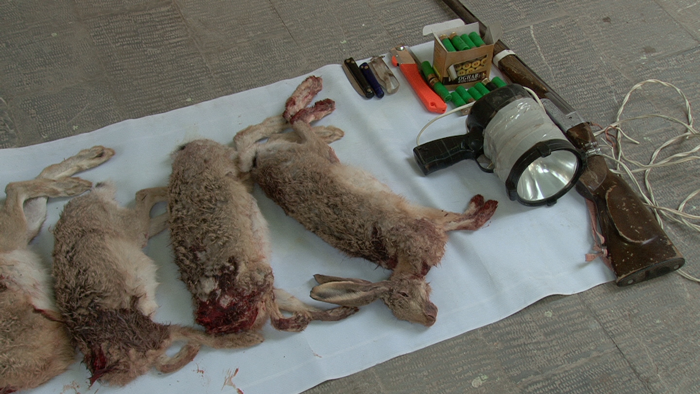 دستگیری ۵ شکارچی متخلف در دامنه‌های سهند