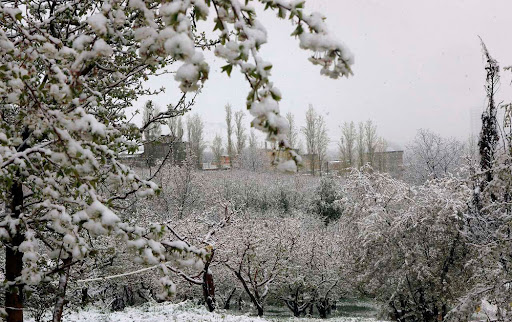 آذربایجانی ها منتظر روزهای پُربارش باشند/ کاهش 10 درجه ای دمای هوا از سه شنبه