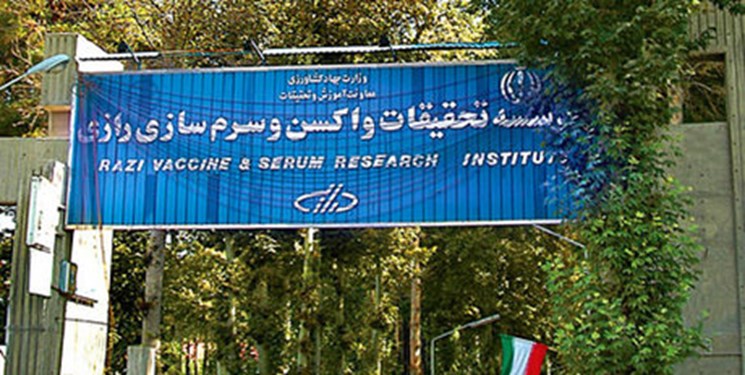 تولید 400 میلیون دز واکسن روغنی طیور در سرم سازی رازی مرند