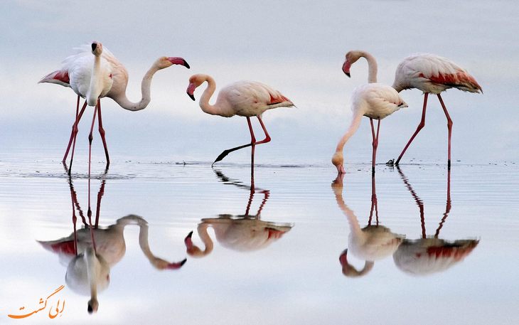 مهمترین پروژه احیای دریاچه ارومیه رو به اتمام است/ آغاز مرحله دوم برنامه‌های احیا