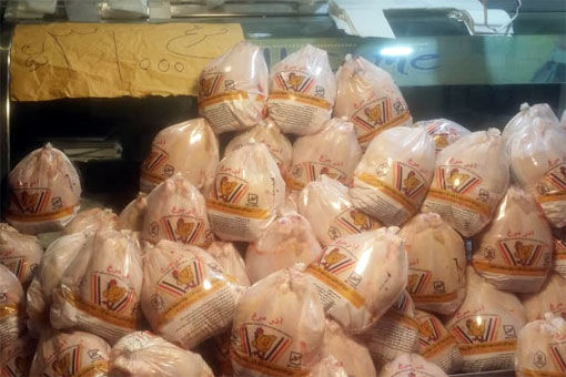 کشف 500 کیلوگرم مرغ تاریخ گذشته و غیر بهداشتی در تبریز