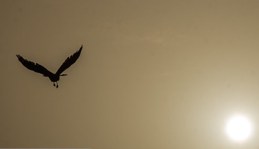 بازگشت تداوم آلودگی هوا/ بعد از توقف مازوت سوزی، مقصر آلودگی هوای تبریز چیست؟