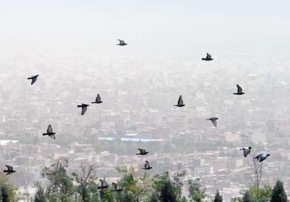 هوای تبریز در وضعیت “ناسالم”