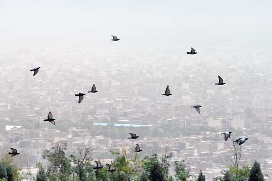 هوای شهر تبریز «ناسالم» است