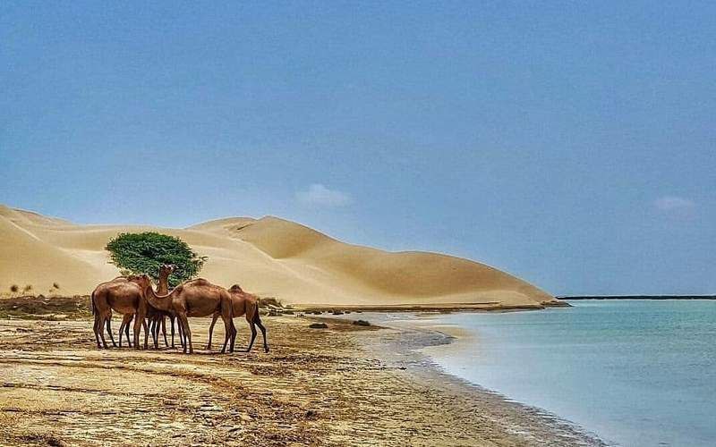 سرزمین گِل‌ فشان‌‌های سیستان و بلوچستان مسافران نوروزی را فرا می‌خواند