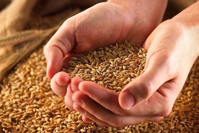 ۹ میلیارد و ۳۰۰ میلیون ریال زکات در خداآفرین جمع‌آوری شد