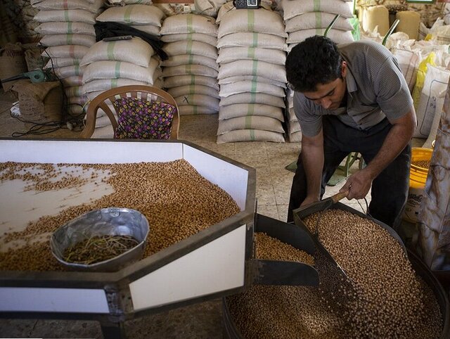 راه اندازی پالایشگاه حبوبات در آذرشهر