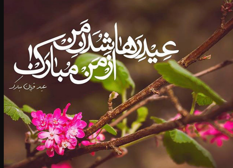 «قربان» یعنی در هیاهوی زندگی؛ «بندگی» را فراموش نکنیم/ آن کس که تو را شناخت، جان را چه کند؟