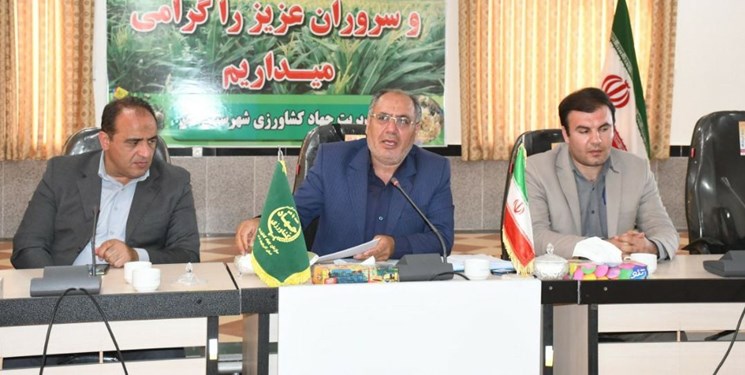 برای نخستین بار در کشور در گلخانه هیدروپونیک اهر علوفه تولید شد