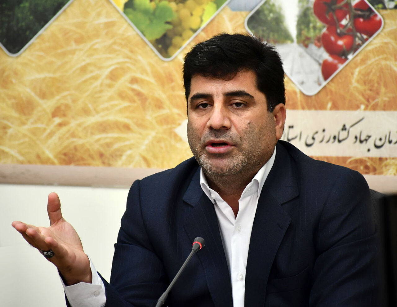 کمبود مرغ گرم در تبریز یک روزه بود/ کشتارگاه‌های تبریز یک شب کشتار نداشتند