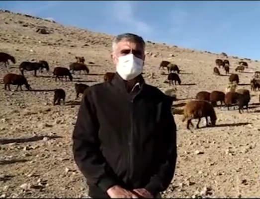 روستازاده‌ای که راهی جبهه‌های جنگ شد/ دوری از تعلقات دنیا با دامداری در لیقوان