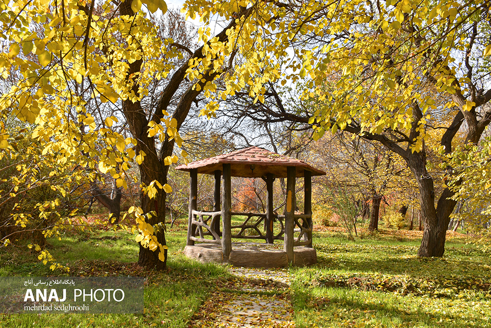 طبیعت پاییزی باغ دانشگاه تبریز