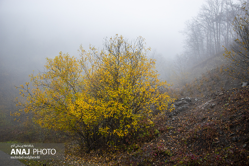 طبیعت پاییزی قره داغ