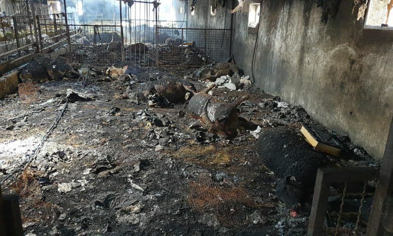 گپ‌وگفت «آناج» با جوانِ مراغه‌ای فداکارِی که به‌دِلِ آتش زد