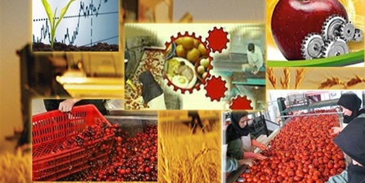 صادرات 80 هزار تن محصولات صنایع تبدیلی به کشورهای خارجی از شبستر