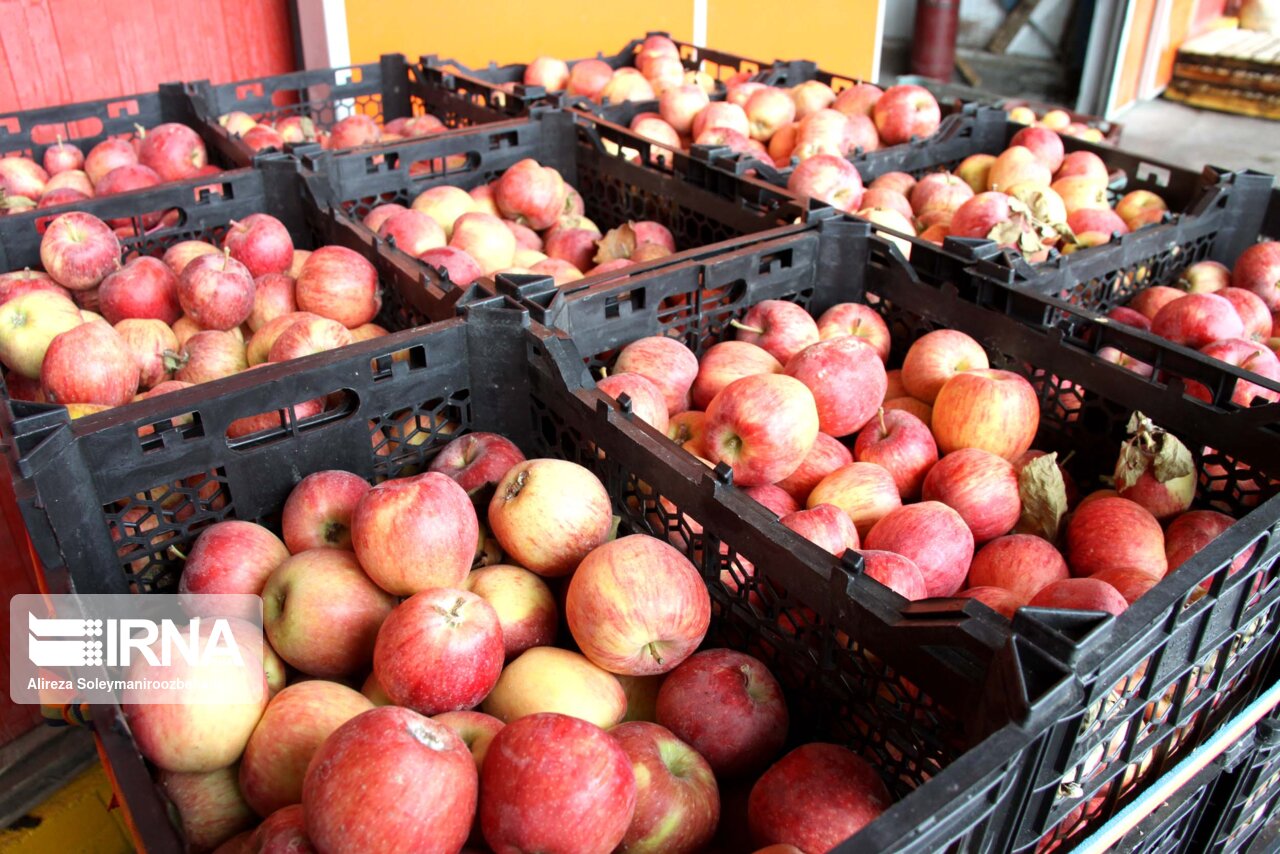 افزایش ۷۰ درصدی تعرفه سردخانه‌های کشاورزی در اهر