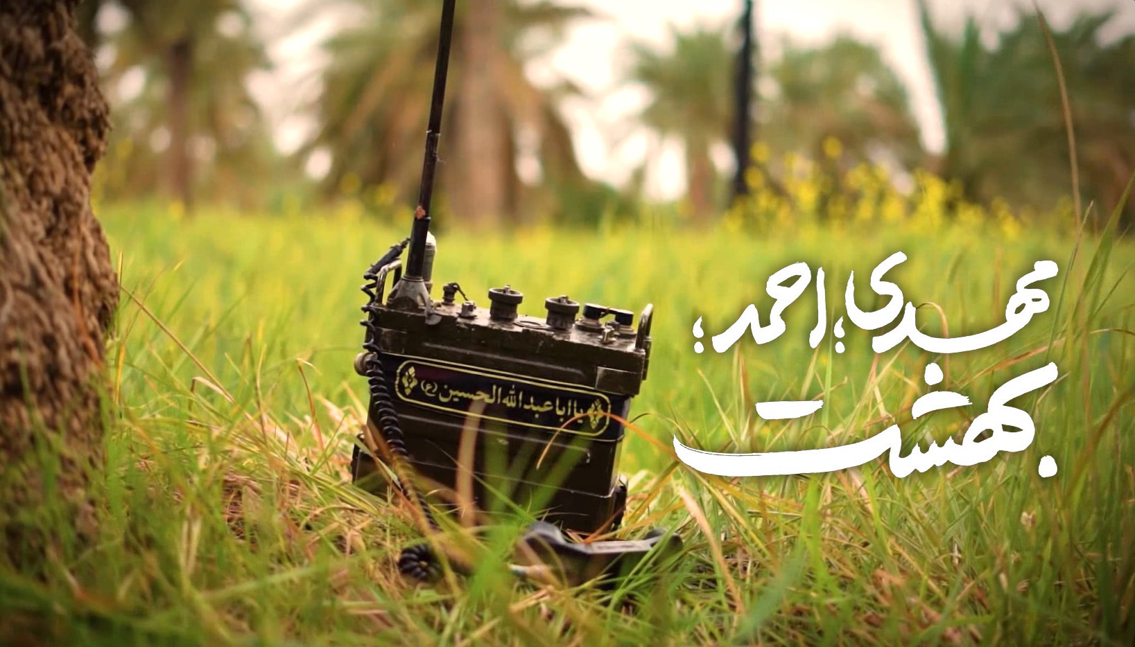 فیلم/ احمد! بیا اینجا…