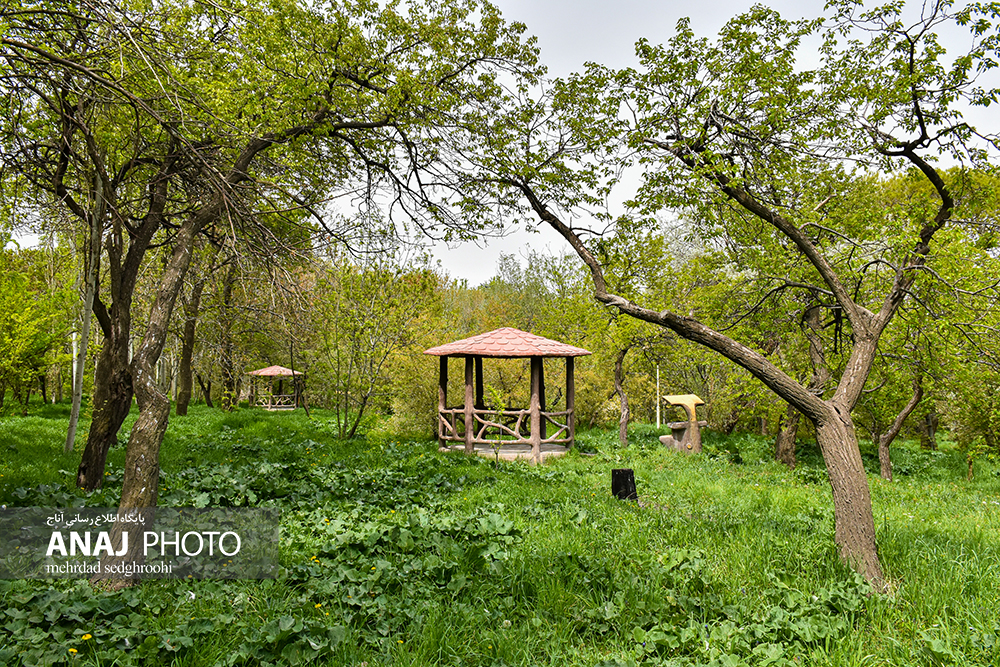 طبیعت بهاری باغ گیاه شناسی دانشگاه تبریز