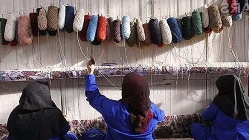 طرح بیمه مجدد 4 هزار قالیباف در آذربایجان شرقی