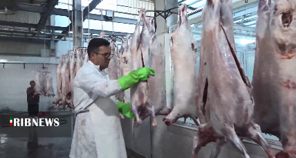 هشدار درباره شیوع بیماری تب کنگو در آذربایجان شرقی