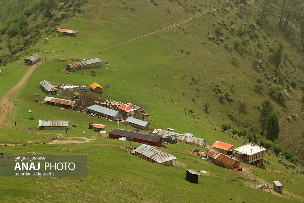 طبیعت ییلاقی ماسال