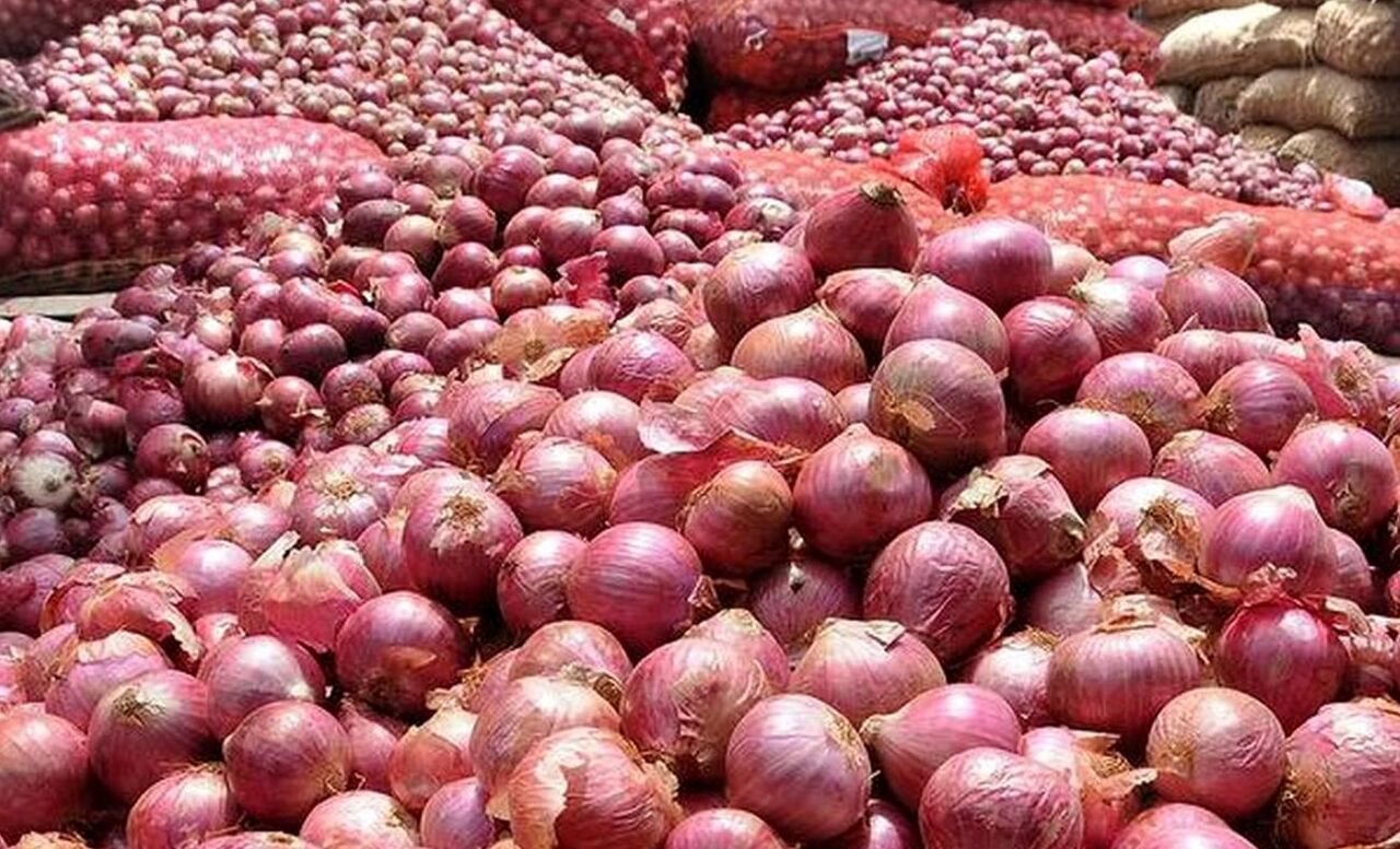 آذربایجان‌شرقی سالانه ۸۴هزار تن پیاز تولید می کند