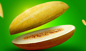 این خوراکی‌ها را همراه خربزه مصرف نکنید
