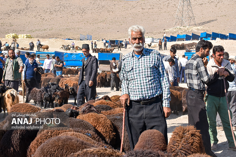 دوربین آناج از بازار دام خسروشاه