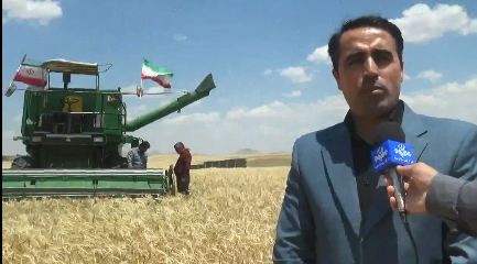 تعاون روستایی هشترود، بزرگ‌ترین تولیدکننده بذر گندم دیم در کشور