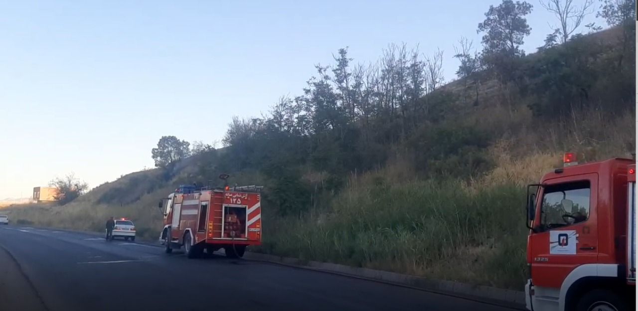 عامل آتش‌ سوزی پارک جنگلی میانه دستگیر شد