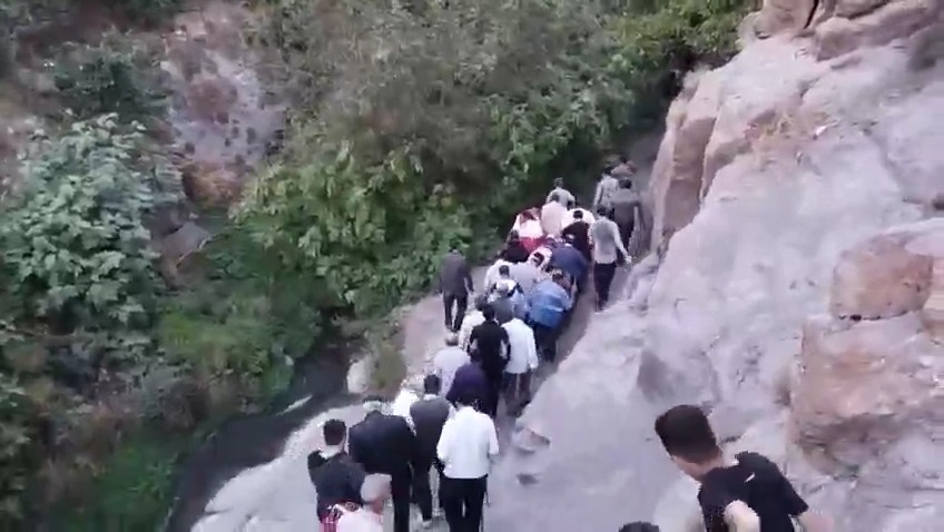 نجات مرد سقوط‌کرده از درخت در کاغذکنان میانه