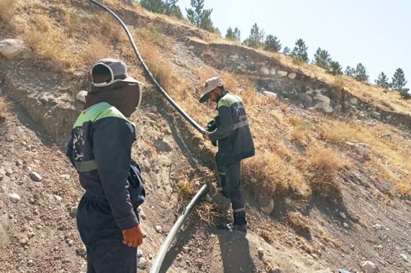 80 درصد آبیاری فضای سبز تفرجگاه عباس میرزا تبریز مکانیزه شد