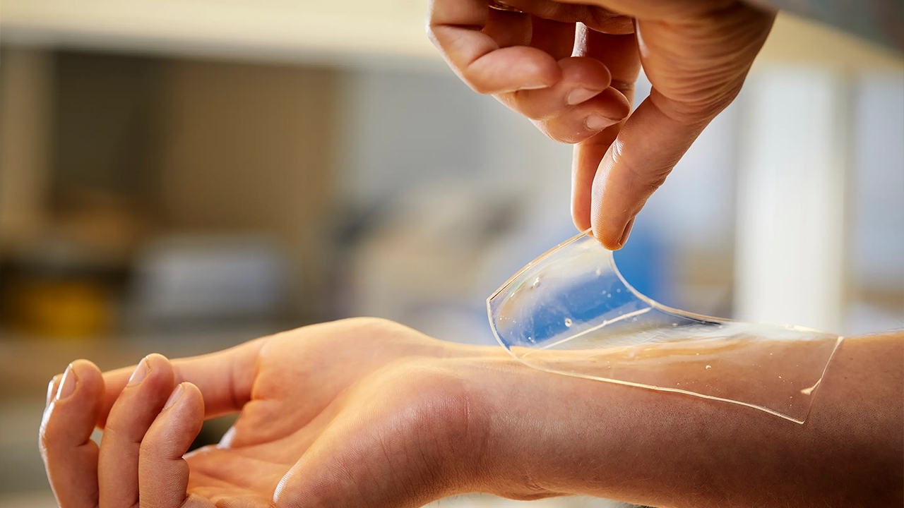 تولید زخم‌پوش‌های گیاهی و قابل‌تعویض در دانشگاه تبریز