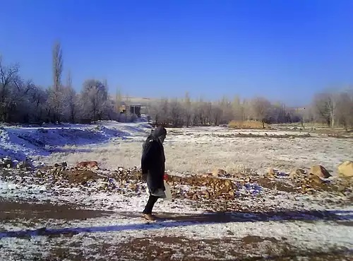 آب آشامیدنی با طعم موش!