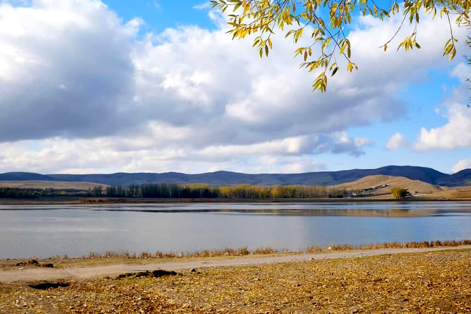 عزم ملی برای احیای تالاب بین‌المللی قوری‌گُل